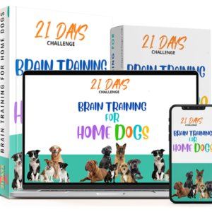 Dog Training Challenge